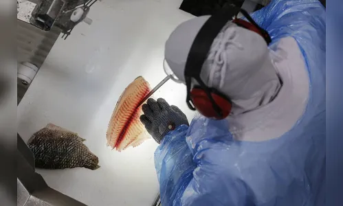 Livro aborda boas práticas para evitar o coronavírus nos alimentos