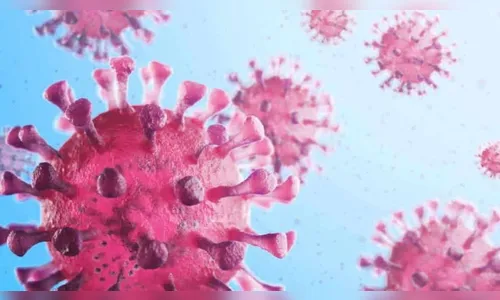 Arapongas registra 79 novos casos e 3 óbitos pela Covid-19