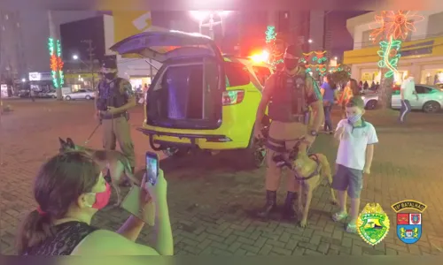 PM de Apucarana lança vídeo comemorativo de final de ano; ASSISTA