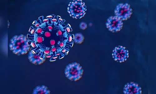 Paraná ultrapassa sete mil óbitos por coronavírus