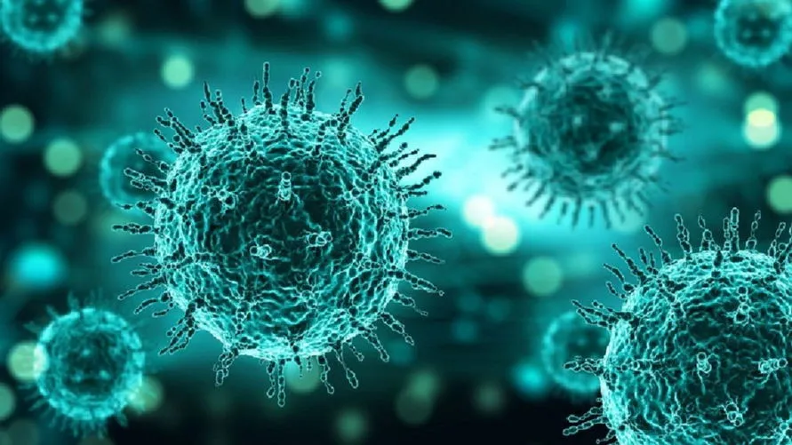 Arapongas registra 24 novos casos de coronavírus e um óbito