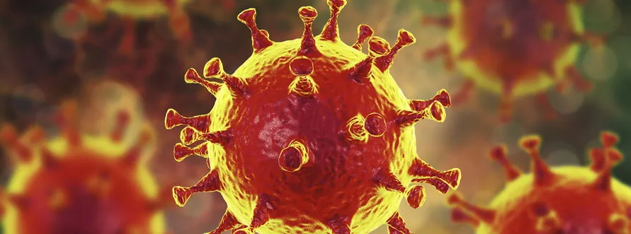 Novo Itacolomi registra 8 novos casos de coronavírus