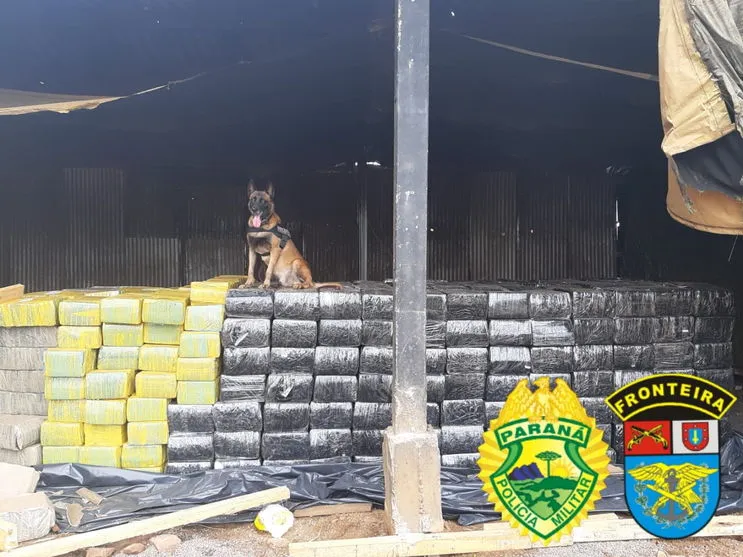 PM-PR apreende 12 toneladas de maconha e prende cinco suspeitos