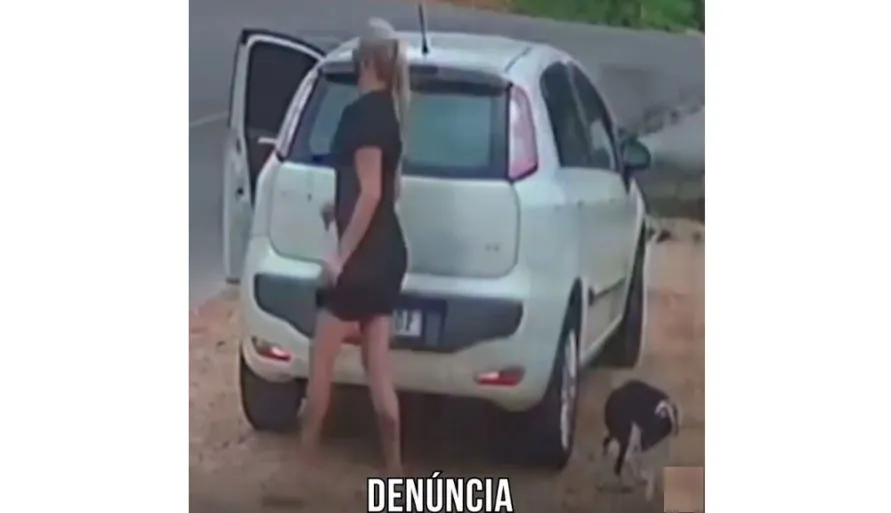 Mulher é presa após ser filmada abandonando cachorro em Curitiba