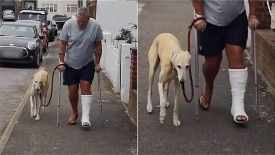Homem com perna engessada gasta R$ 2 mil em veterinário e descobre que cão o imitava