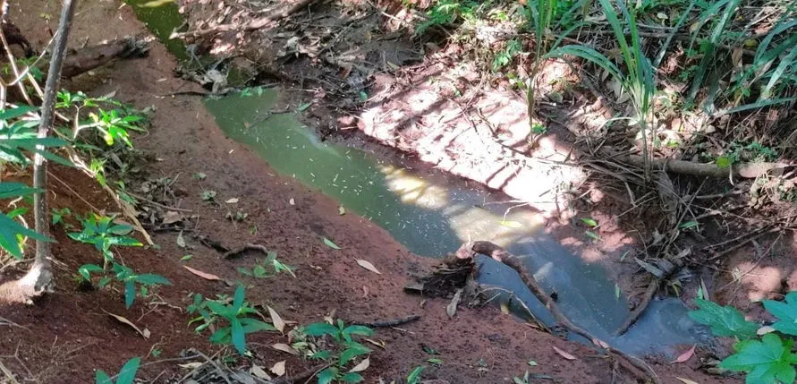 Captação de água do Rio Caviúna em Apucarana continua interrompida