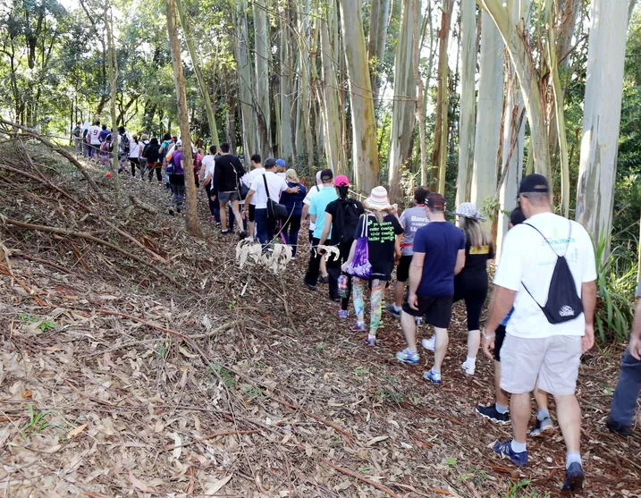 Governo apresenta em Apucarana novo modelo de caminhadas na natureza