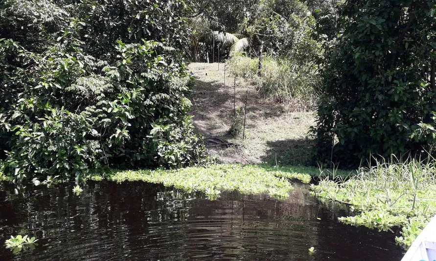 Mourão defende novo modelo de desenvolvimento para a Amazônia