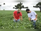 Chuvas ultrapassam média esperada para janeiro e preocupa agricultores