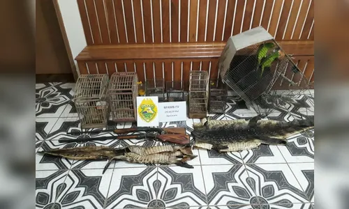 Polícia Ambiental apreende espingardas, couros de jacaré e pássaros mantidos em cativeiro