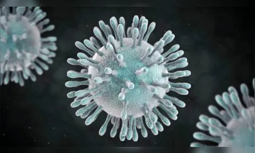 Acompanhe a evolução da Covid-19 em Arapongas