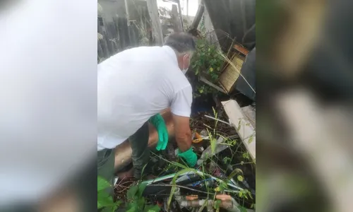 Alerta: Paraná registra 425 novos casos de dengue