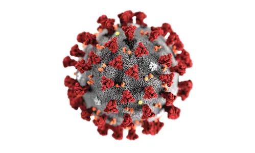 Apucarana confirma mais 33 novos casos para Covid-19