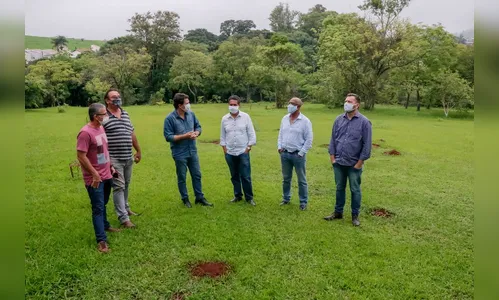 Apucarana irá homenagear vítimas da Covid com bosque e memorial