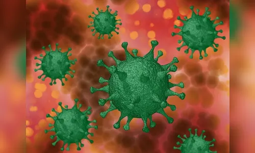 Arapongas registra 77 novos casos de coronavírus e um óbito