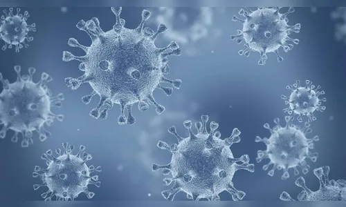 Londrina registra mais 6 mortes e 159 novos casos de Covid-19