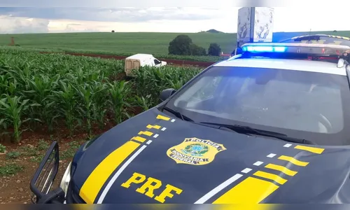 PRF apreende caminhonete carregada de cigarros contrabandeados; Vídeo