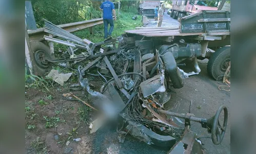 Motorista que saltou de caminhão sem freio morre em hospital