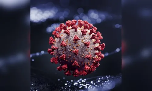 Pioneiro é a 6ª vítima fatal da Covid-19 em Borrazópolis