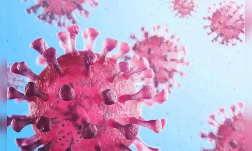 Arapongas registra 55 novos casos de Covid-19 e 101 curados