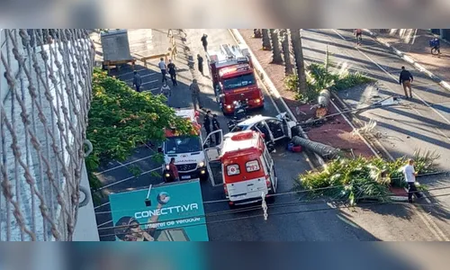 Acidente faz carro arrancar duas árvores na batida; Vídeo