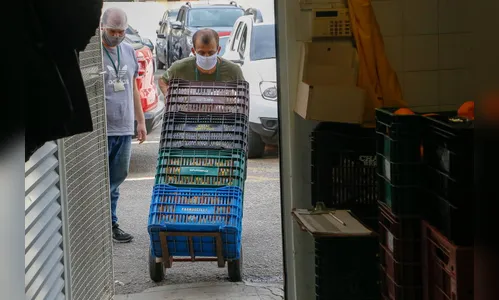 Programas garantem comercialização e renda aos pequenos agricultores