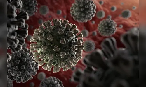 Apucarana confirma mais 28 casos de Covid-19