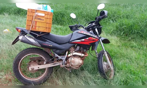 Motociclista fica ferido após atropelar cachorro na BR-369