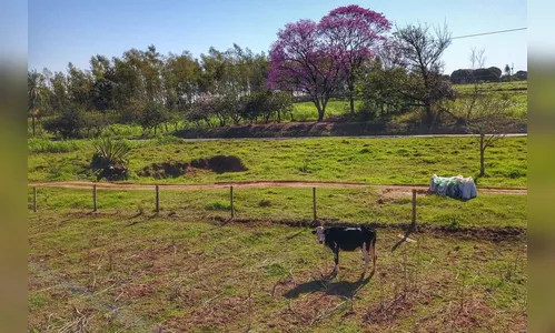 Regularização fundiária alcança mais de 1,2 mil pequenos produtores