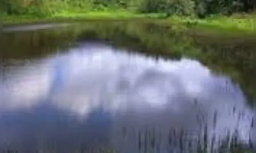 Polícia investiga furto de aproximadamente 100 kg de peixe na região
