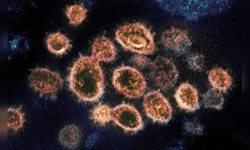 Idoso de 84 anos morre após complicações da Covid em Borrazópolis