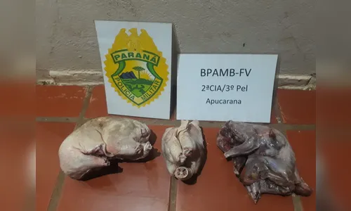 Polícia Ambiental apreende aves, além de animais abatidos em propriedade rural
