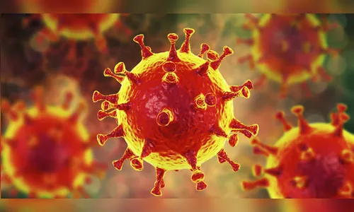 Apucarana registra mais de 40 novos casos de coronavírus