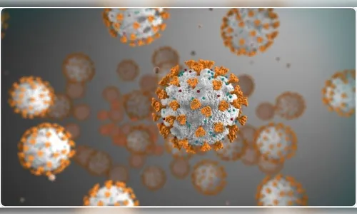 Arapongas registra 43 novos casos de Covid-19 e um óbito