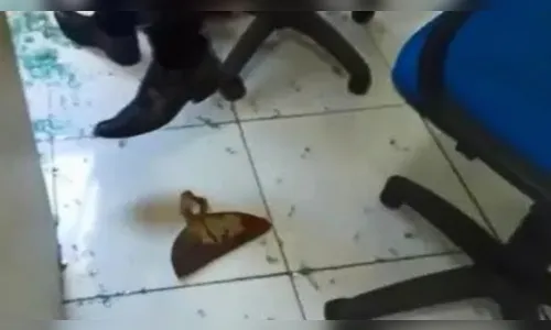 Prefeito é alvo de 'enxadada' em cerimônia de posse; vídeo