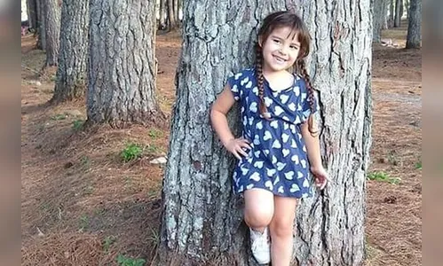 Criança de cinco anos morre após ser atropelada; motorista fugiu