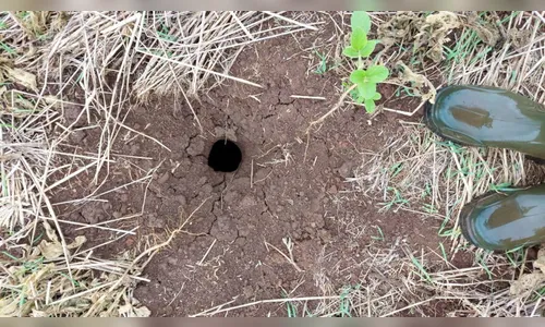 Raio cai em lavoura de soja e faz buraco com quase 3 metros de profundidade