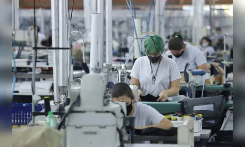 71% dos municípios do Paraná têm saldo positivo de emprego em novembro