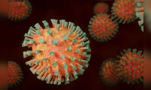 Ivaiporã tem mais quatro casos positivos de Covid-19, nesta terça (05/01)