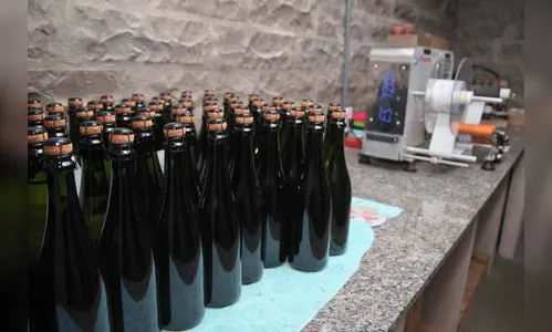 O Paraná que faz vinhos e espumantes premiados