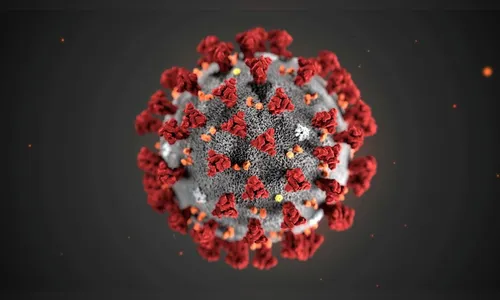 'Tenho ódio de ver pessoas se aglomerando', diz enfermeira que perdeu marido