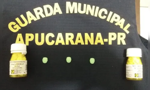 Homem de 22 anos é detido pela GCM com LSD e anabolizantes