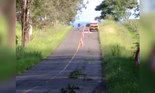 Vítima morre atropelada de madrugada na região; veículo foge