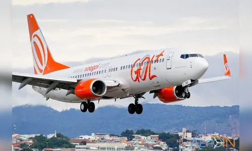 Passageiro é atacado por escorpião em voo para Fortaleza