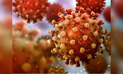 Arapongas tem mais uma morte e 62 novos casos de covid no domingo