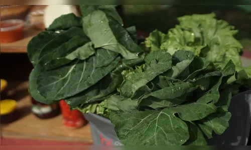 Pesquisa aponta impacto de compra da agricultura familiar durante pandemia