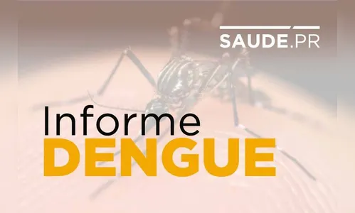 Dengue mata mais uma pessoa no Paraná