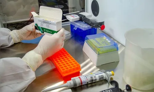 Jardim Alegre tem mais sete casos confirmados de coronavírus