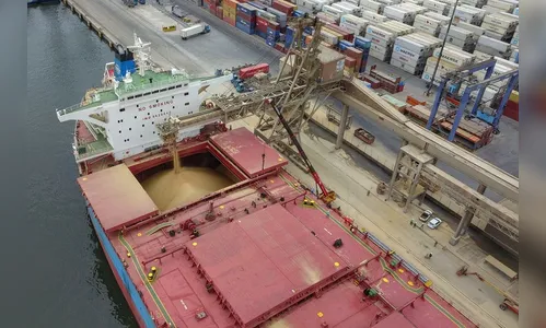 Exportações do agro paranaense somaram US$ 13,29 bi em 2020