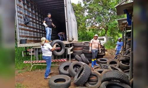 Faxinal recicla 11 toneladas de pneus inservíveis